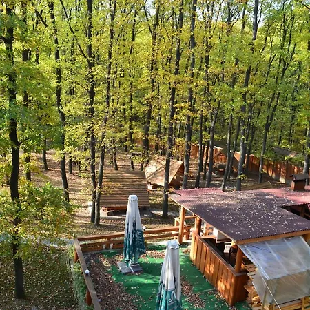 Praha Wood House Hotel 4*
