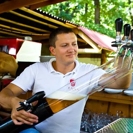 Hotel Praha Wood House 4*