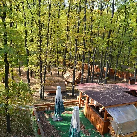 Praha Wood House Hotel 4*